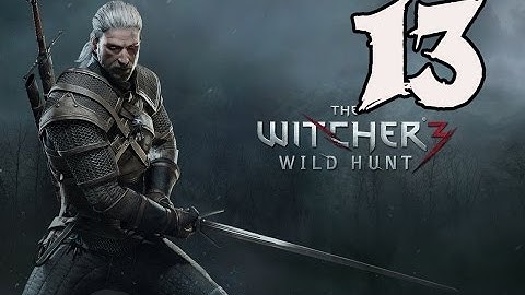 The Witcher 3: Wild Hunt - Gameplay Walkthrough Part 13: Nilfgaardian Connection
