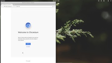 Top 5 Things to do after installing ElementaryOS Loki