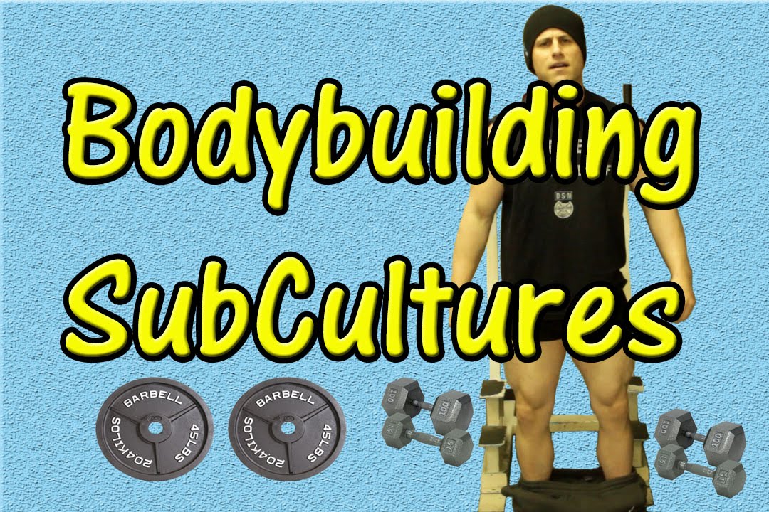 bodybuilding subculture essay