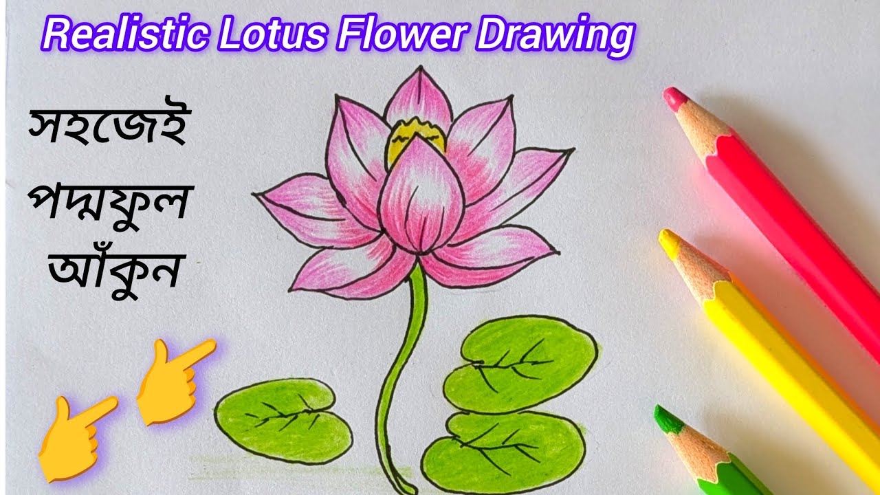 🌷Realistic Lotus Flower Drawing |পদ্মফুল আঁকার সহজ নিয়ম | 🎨 শাপলা ফুল আঁকা | পদ্মফুল আঁকা 