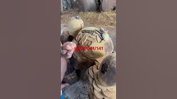 Xin giới thiệu quy trình sản xuất gỗ nu hàng thủ công Mỹ nghệ