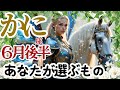 【かに座2026年6月後半】🌈無理に選ぶ必要はないかもしれません🌈立ち止まって観察することで見えてくるものがある🌈決めたら結果よりも目の前のことに挑戦していこう🌈