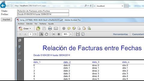 05 Crystal Reports con datos dinámicos