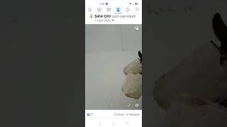 köyde susuzluktan perişanız