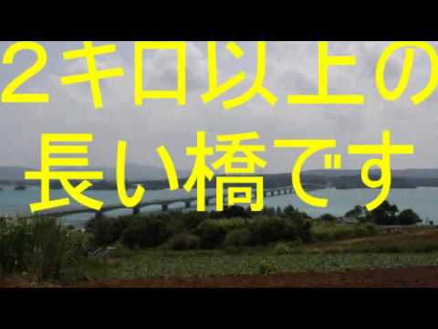悪魔３人沖縄旅行　標準画質.wmv