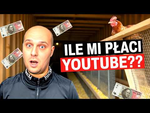 Nie Uwierzysz Ile YouTube Płaci Za Moje Filmy Z Farmy Q A 