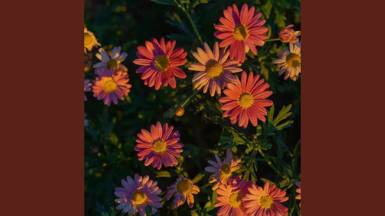 Stage dive auf YouTube ansehen Stage dive auf YouTube ansehen