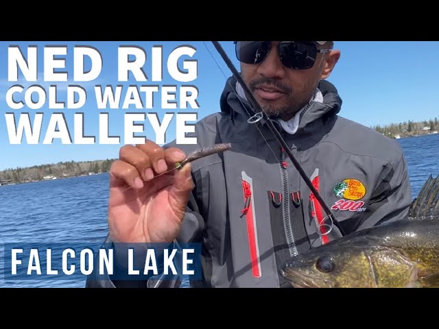 How to NED RIG for WALLEYE on Falcon Lake