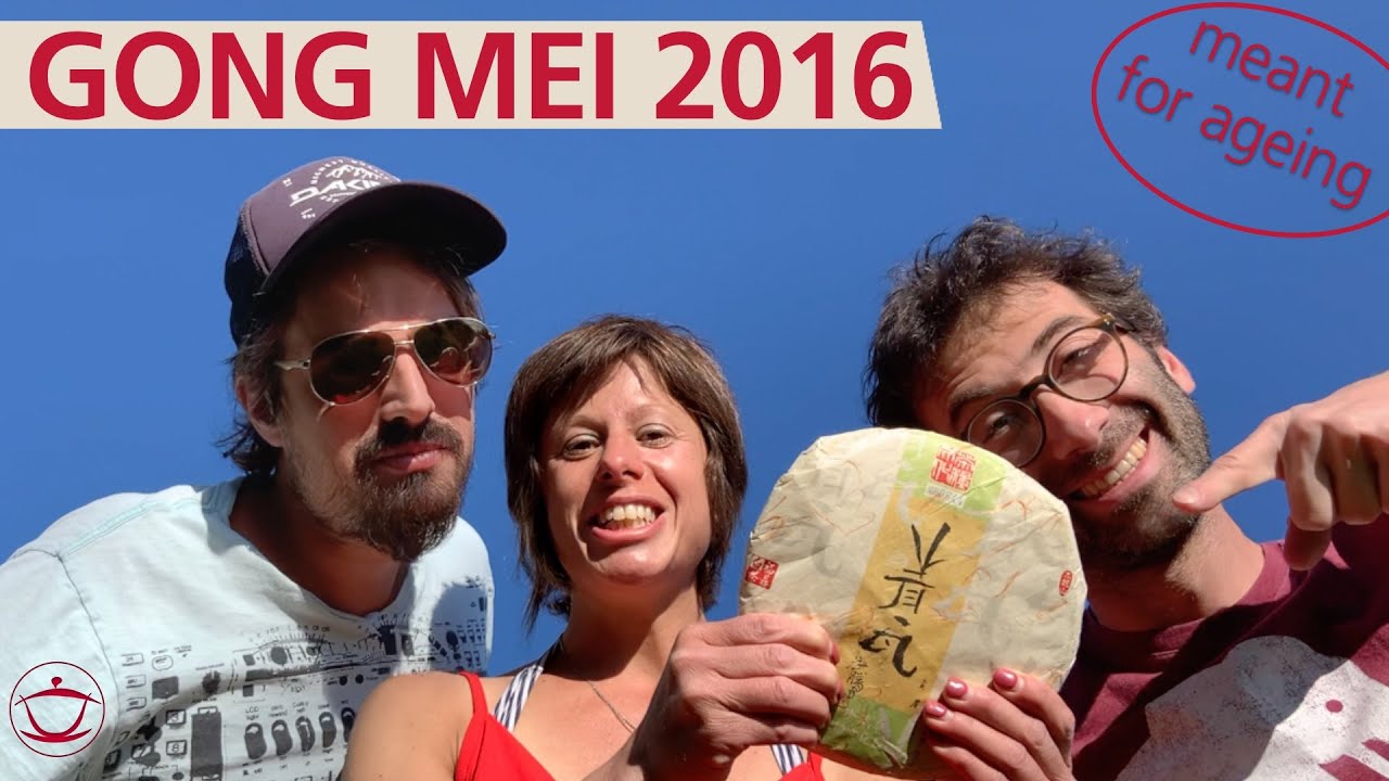 Gong Mei 2016 Bing Cha: A White Tea Cake Meant for Ageing