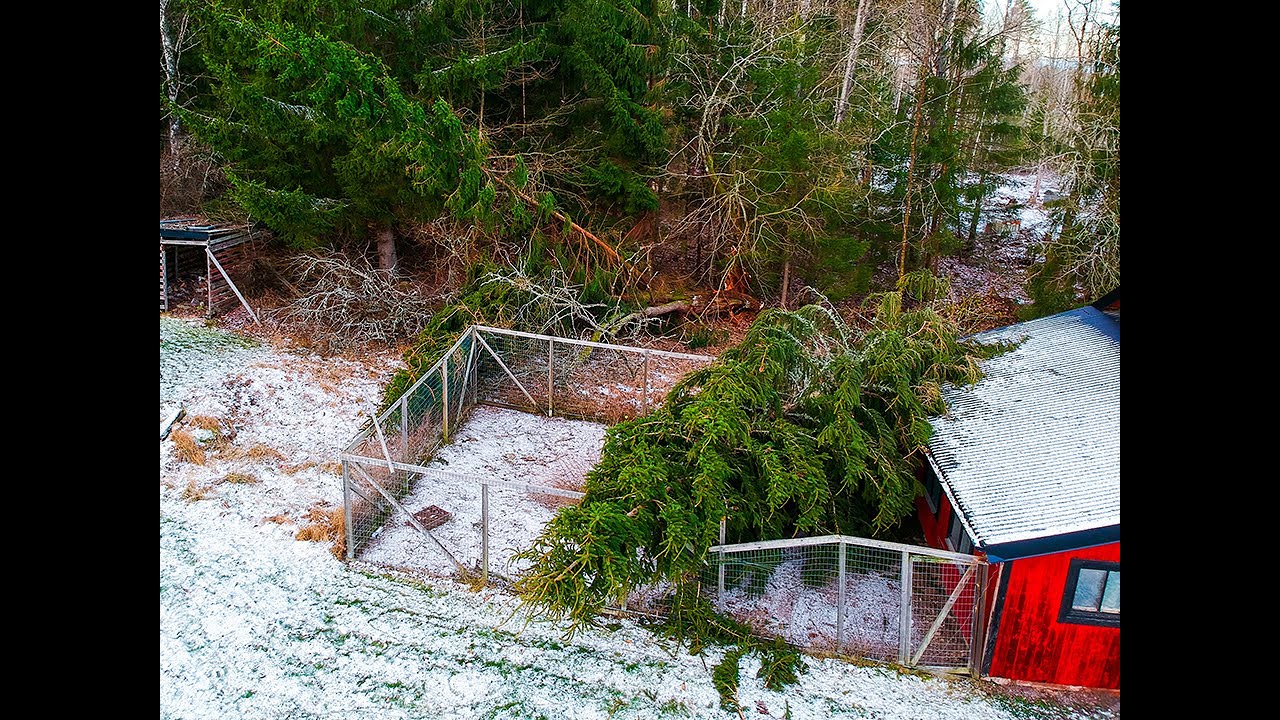 Stormen Johannes drog fram över gården
