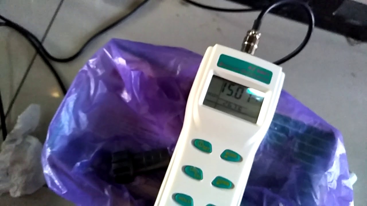 Glass eel aquarium YouTube