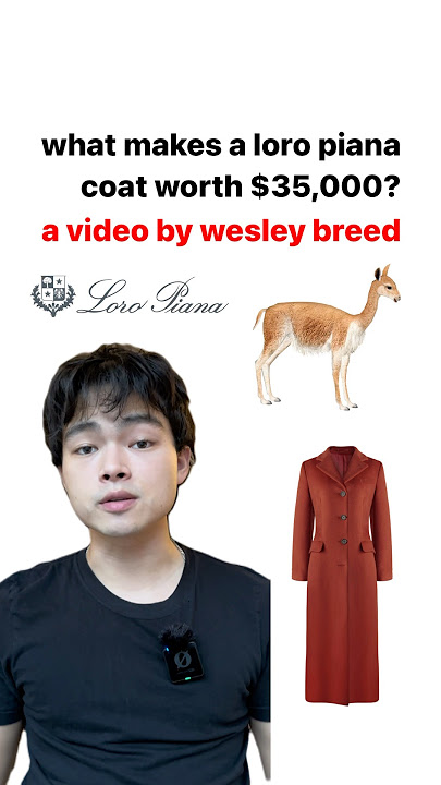 Would you pay $35,000 for this Loro Piana coat? | #loropiana #fashion #mensfashion #luxury
