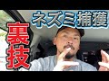【裏技】捕まらないと悩む方向け!誰でもできるネズミ捕獲の裏ワザ伝授
