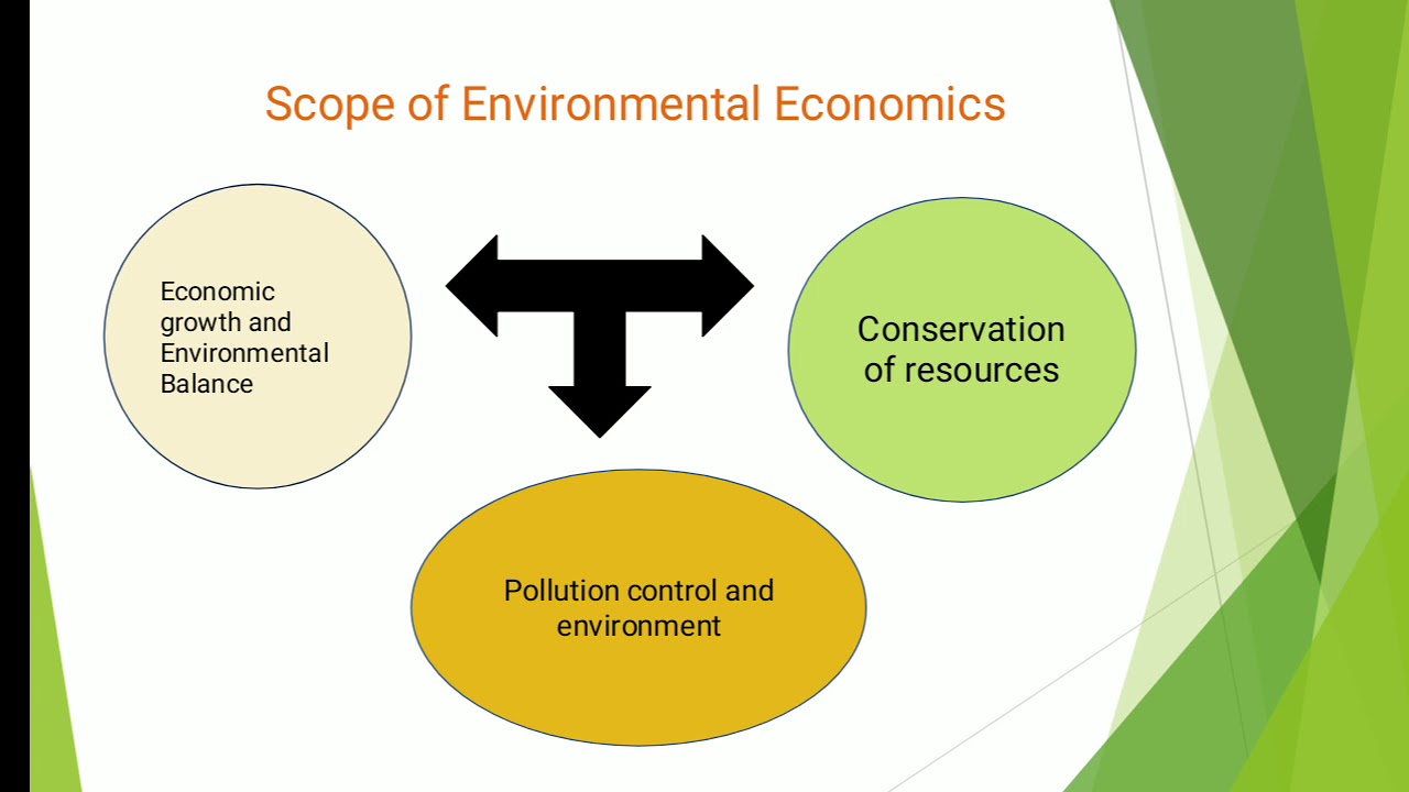 environmental economics phd programs