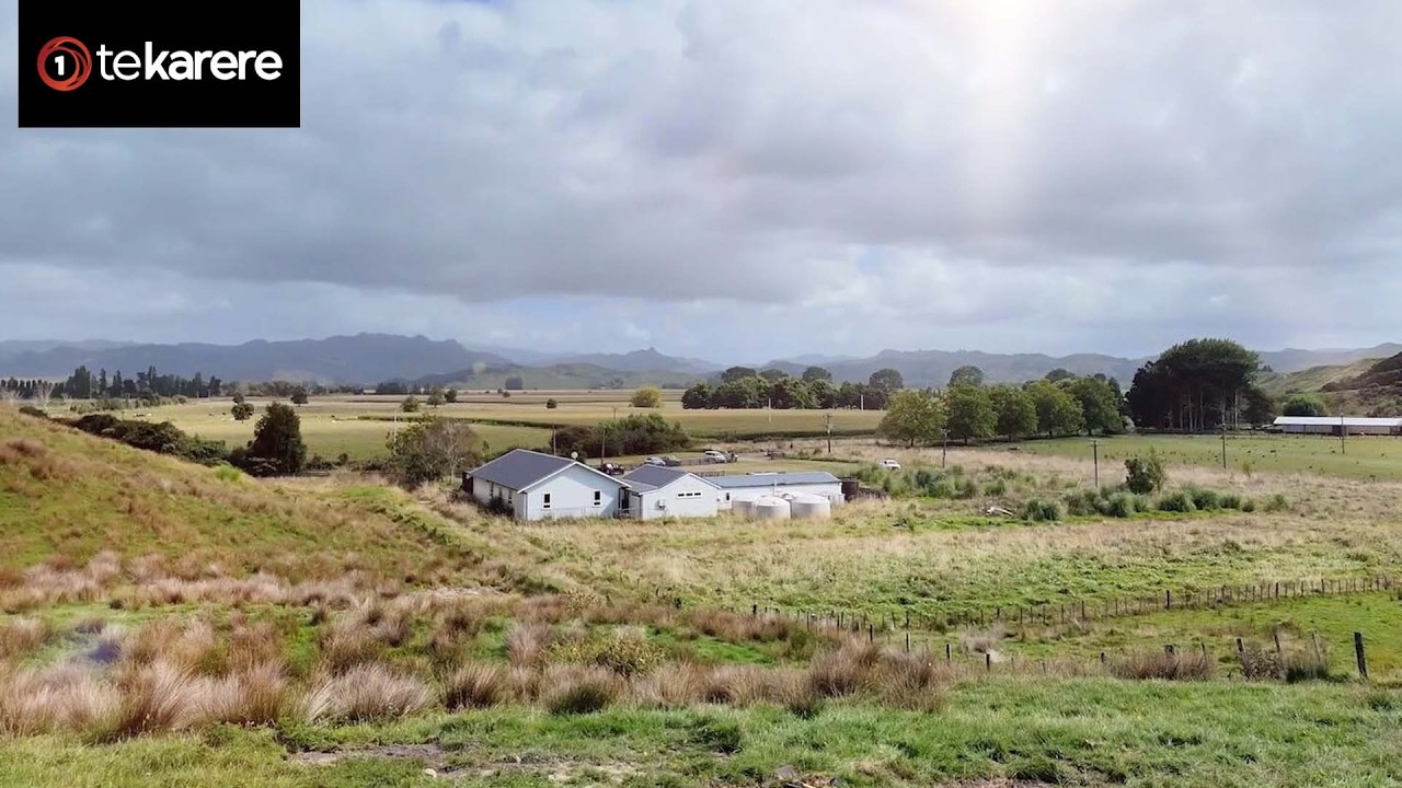 Восстанавливаясь после наводнения – мараэ Пукетавай будет перестроено на более высоком месте | Ta...