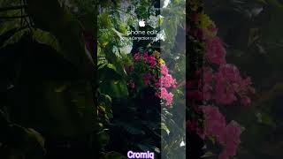 Iphone edit Colour Correction tutorial 📱🌸