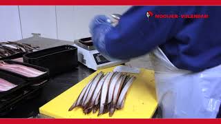 Download Lagu Ontdek het volledige assortiment #paling #producten van #Mooijer-#Volendam MP3