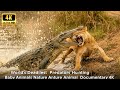 World's Deadliest: Predators Hunting Baby Animals | Nature Animal Documentary 4K