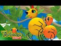 Miss Spider | Sing It Sister / Ant-tuition - Ep. 10