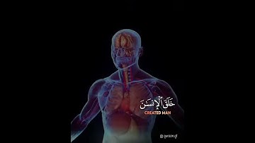 سورة الرحمن بصوت روعة مشاء الله❤️ | حالات واتس اب دينية