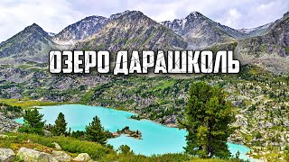 видео: Алтай. По Долине цветов к озеру Дарашколь и опасному перевалу 4. Немыцкого З. - Кульдора Восточный картинка: Алтай. По Долине цветов к озеру Дарашколь и опасному перевалу 4. Немыцкого З. - Кульдора Восточный