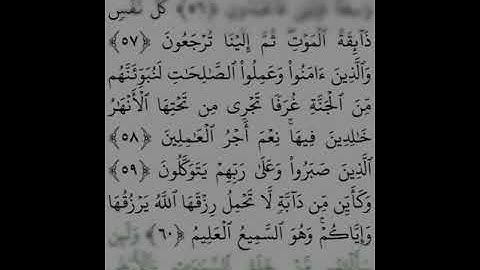 #سورة العنكبوت الاية 56"60 كل نفس ذائقة الموت 😔 إسلام صبحي