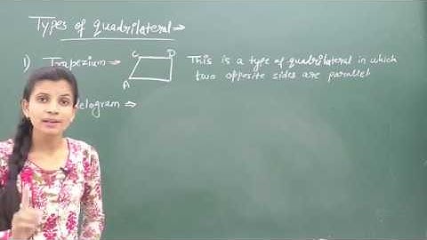 MATHS-IX-8-01 Quadrilaterals,  Pradeep Kshetrapal channel