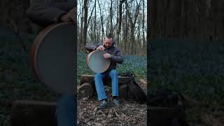 Немного атмосферы весеннего леса вам в ленту 🌷🌺🪻 #framedrums #percussion #bendir #drumsolo