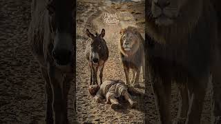 He Obeyed God… Then Died Anyway? The Prophet’s Story That Shocks Everyone