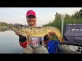 4.3kg Brekša vietā, 4,320kg līdaka. Kārtējais Jaunais ezers un mēģinājums tikt pie 4kg + Brekša
