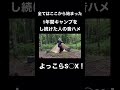 ※自主規制 #shorts #キャンプ #おすすめ