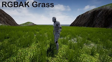 Unreal Engine RGBAK Grass