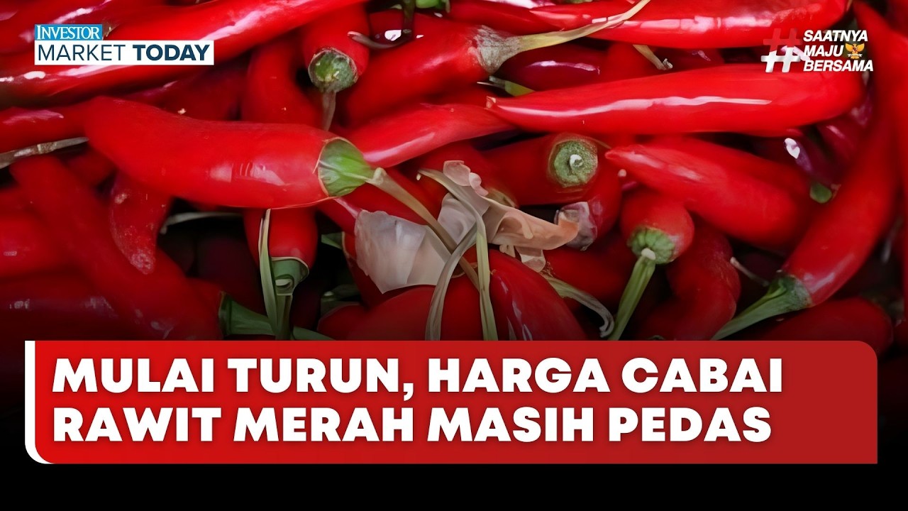 🔴 LIVE | Mulai Turun, Harga Cabai Rawit Merah Masih Pedas - Investor Market Today
