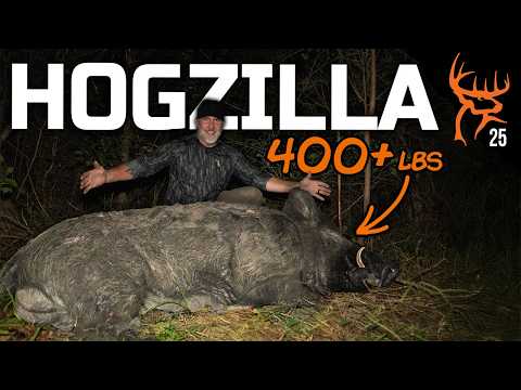 TOMBO'S BIGGEST HOG to DATE | 400 LB MONSTER | Buck Commander 2025