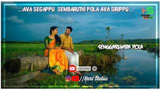 Ava segappu sembaruthi pola Ava sirippu lyrics || Hari Status WhatsApp love song || 🎶 Crush love..