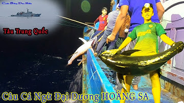 trailer CÂU CÁ NGỪ ĐẠI DƯƠNG BIỂN HOÀNG SA║Cuộc Sống Dân Biển.