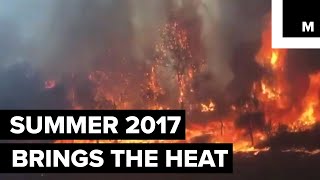 Summer 2017 heat