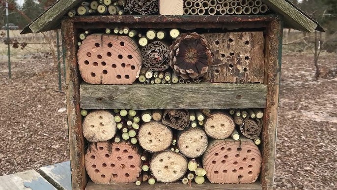 DIY Bug Hotel / Insect House with Bostik