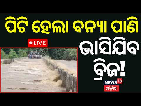 Flood Alert in MBJ Live: ଭାସିବ ବ୍ରିଜ! Severe Flooding in Mayurbhanj: Bangriposi Bridge Overflooded