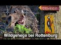 Walderlebnisweg &amp; Wildgehege bei Rottenburg am Neckar