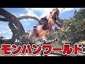 深夜にモンハンすんぞ!
