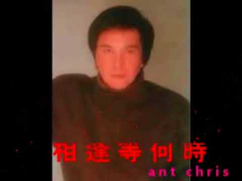 謝雷 相逢等何時 1979