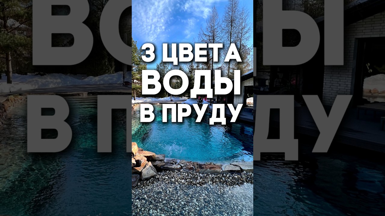 От чего зависит цвет воды в пруду?