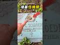 墓碑上的貼心設計🌹