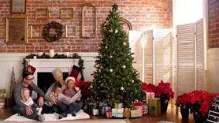 Xmas Warmth 7.5FT PREMIUM SPRUCE CHRISTMAS TREE
