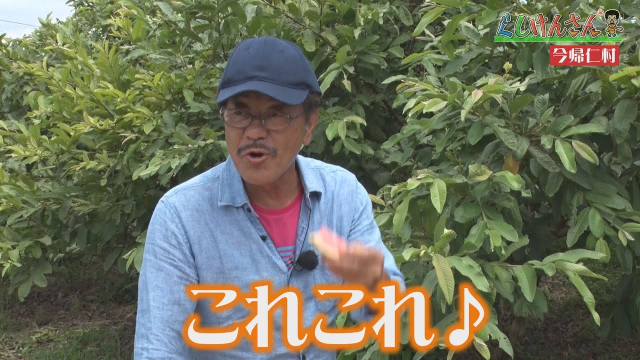ぐしけんさん　具志堅さんの思いでの詰まったパイン＆グアバの畑へ！！　Vol.43