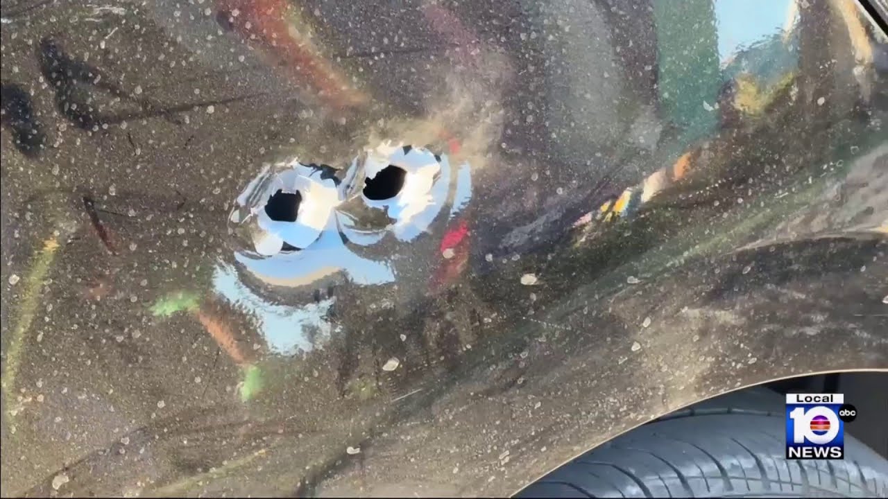 Police search for gunman after man grazed by bullet while driving in ...