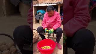 Potato growing in rural area #shorts #plantingtips