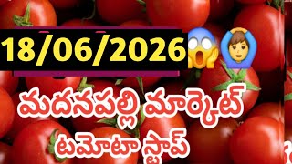 మదనపల్లి మార్కెట్ ఈరోజు టమోటా స్టాక్ ఇన్ఫర్మేషన్ /18/6/26/Today Tomato Market Madanapalli price