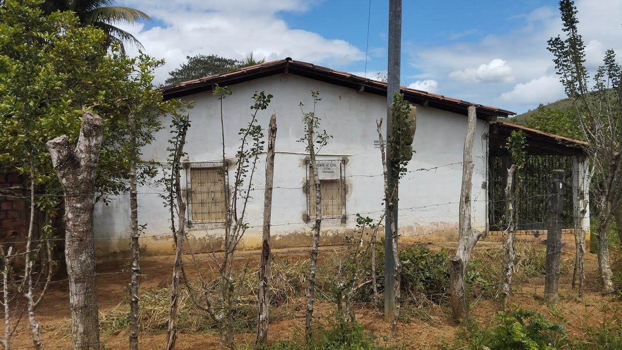 Sítio à venda em Amado Bahia, excelente oportunidade#viral #fyp#trending#compartilhe #explorar#sitio